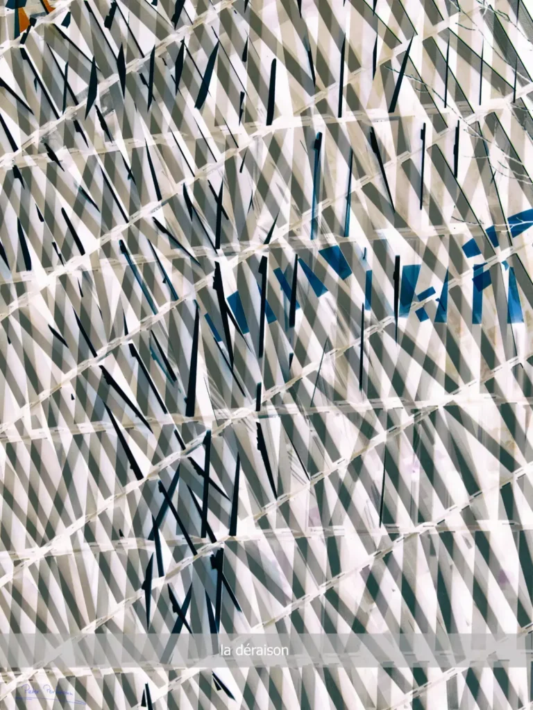 Peter Perkmann - la déraison